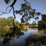 Napa River