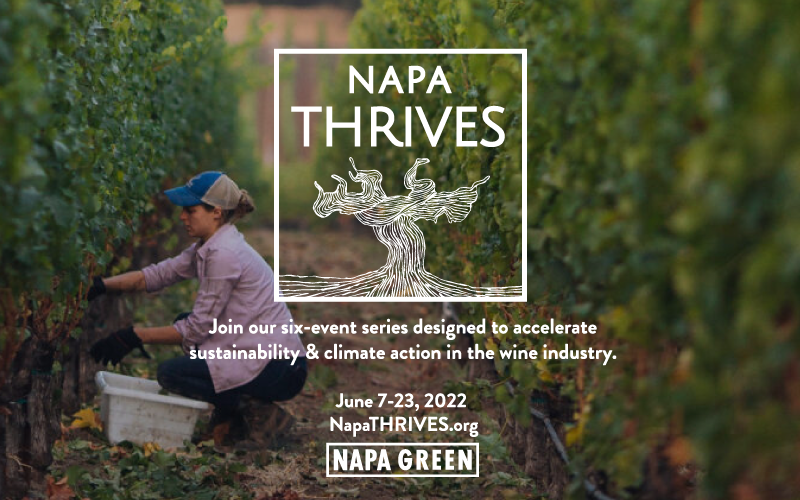 THRIVES 2022: Social Equity, Diversity & Inclusion