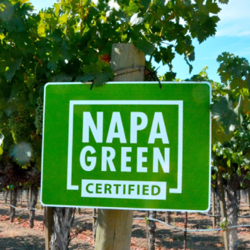 Napa Green Certified sign in front of vineyard