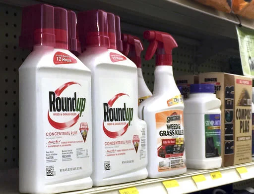 Containers of Roundup, left, a weed killer containing glyphosate, on sale at a hardware store in Los Angeles in 2017. Associated Press