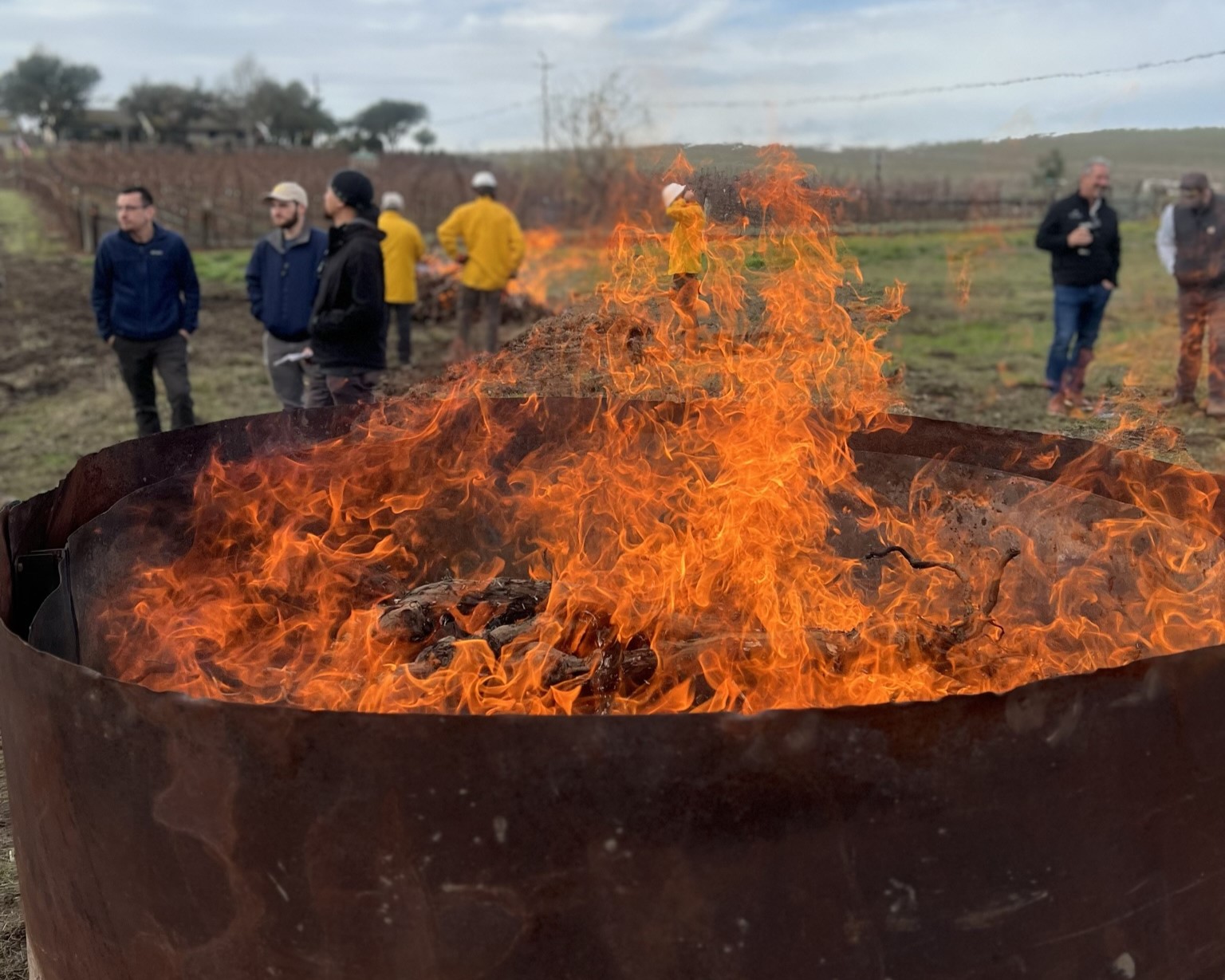 Burn Workshop
