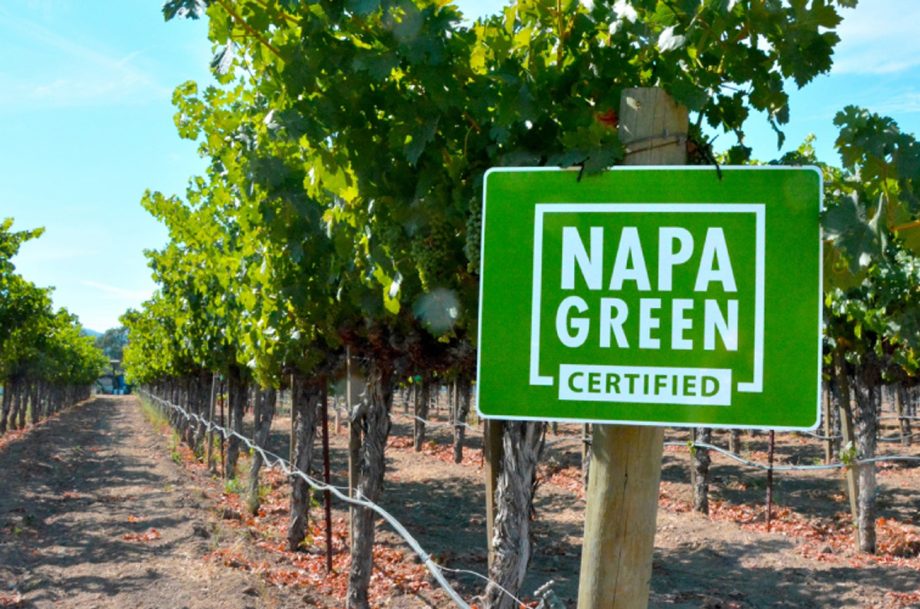 Napa Green Certified Sign in front of a vineyard