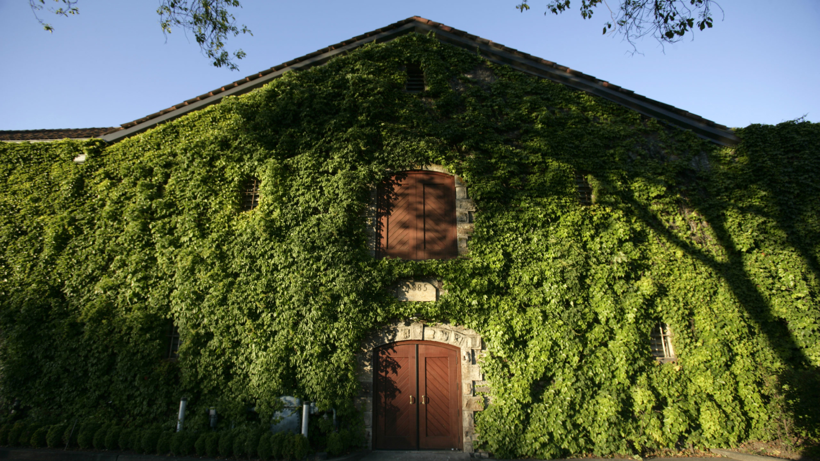 Beaulieu Vineyard
