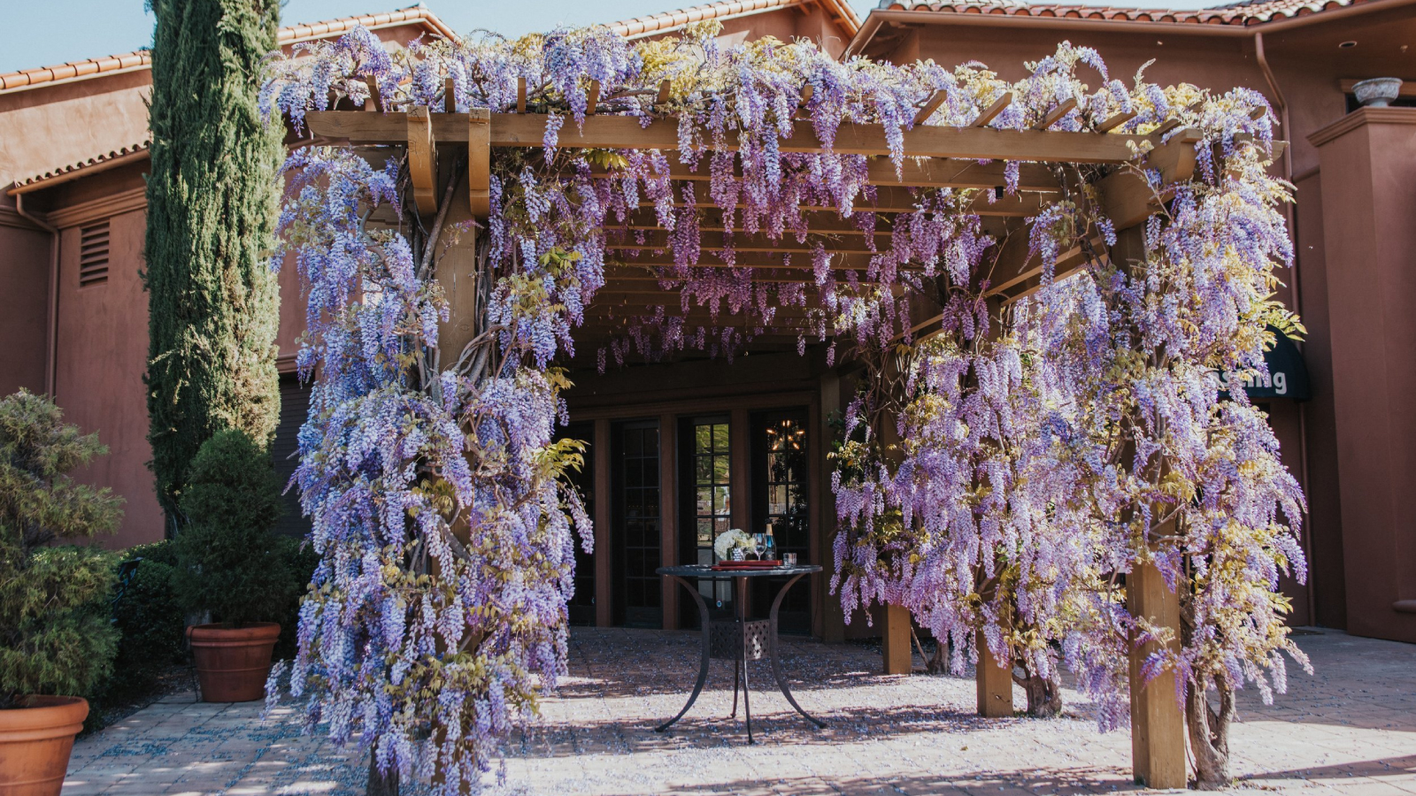 Bennett Lane Winery