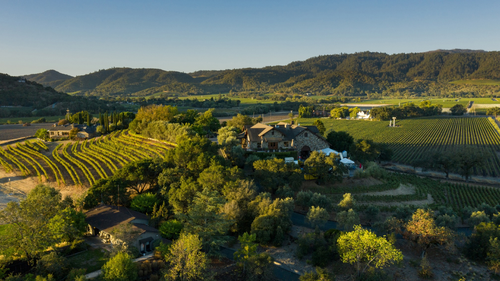 Cardinale Winery