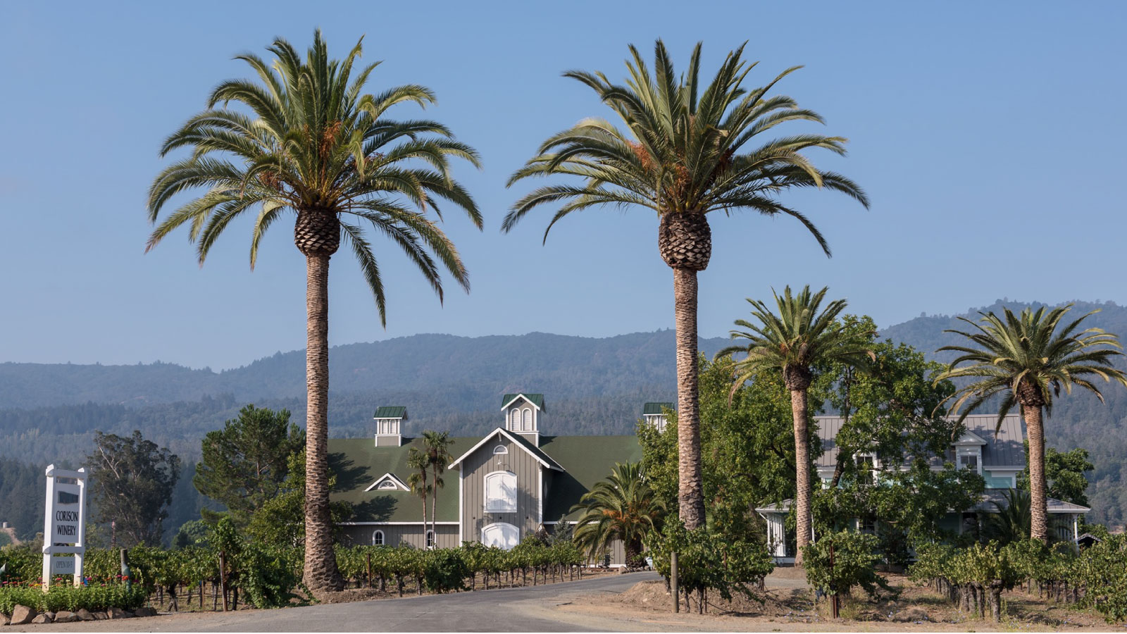 Corison Winery