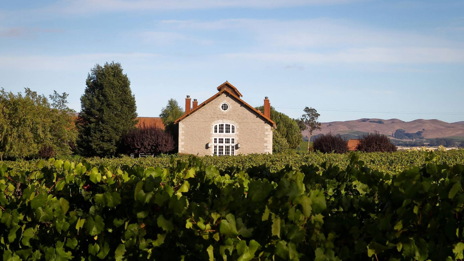 Etude Wines
