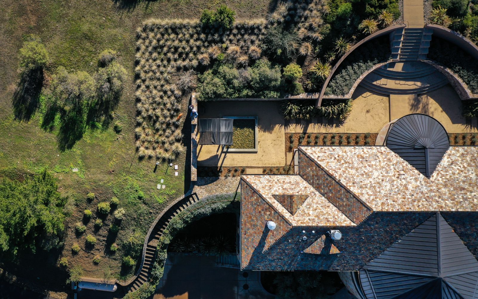 Vineyard 7 & 8
