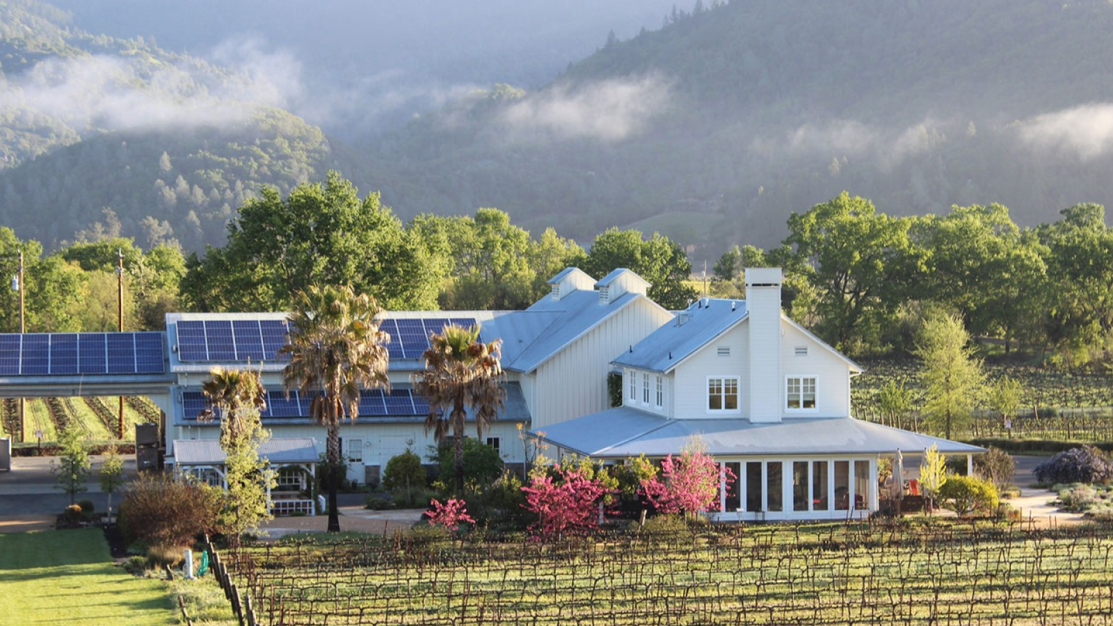 Larkmead Vineyards