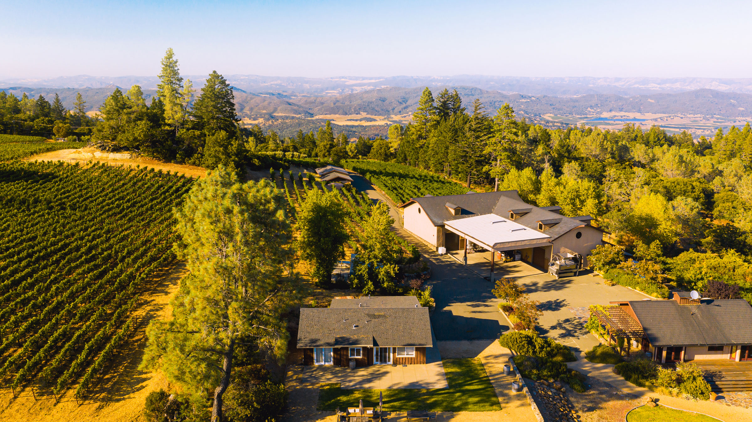 Robert Craig Winery