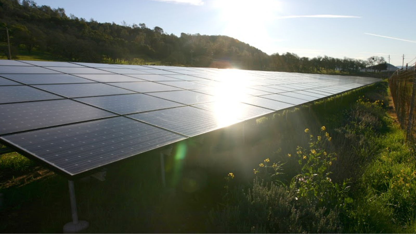 Energy Efficiency