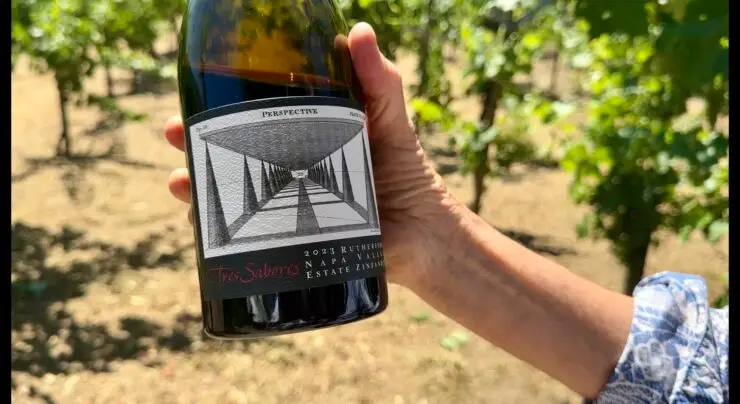 Napa at the Crossroads: Drinking in a Valley Worth Saving