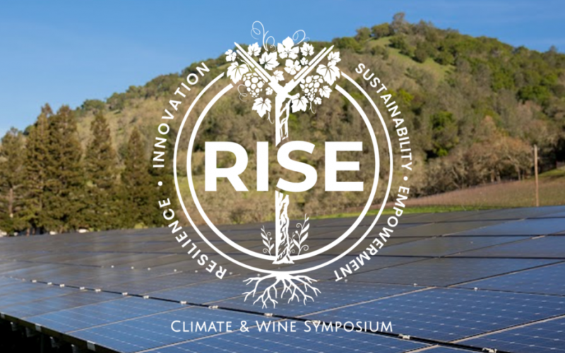 RISE-1