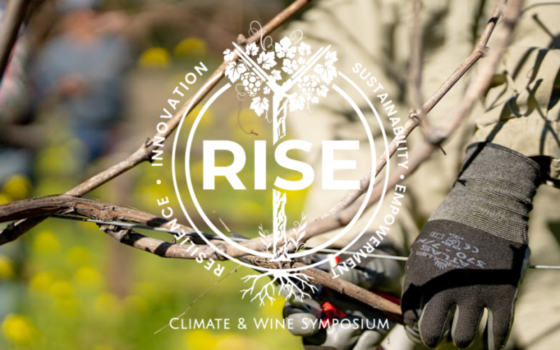RISE-2