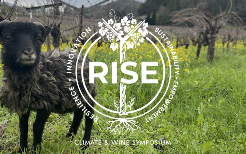 RISE-4