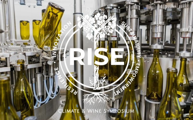 RISE-5