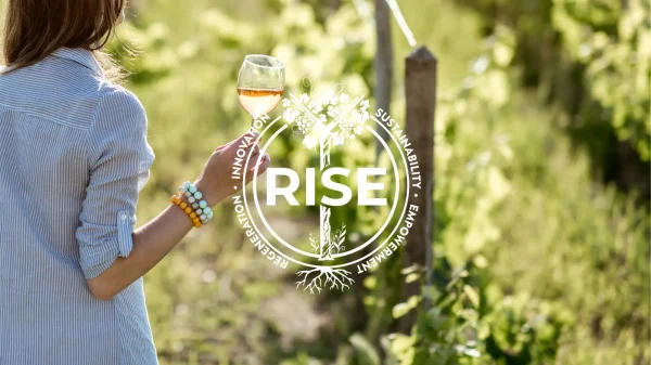 RISE Cheers