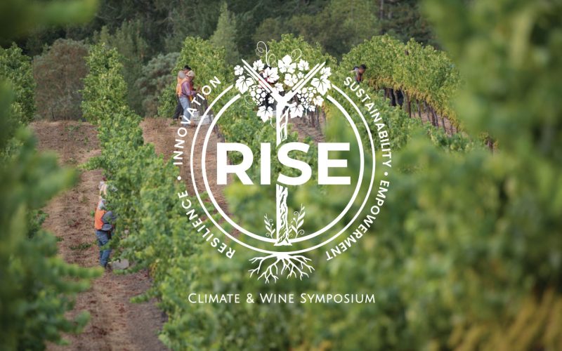 RISE-Social