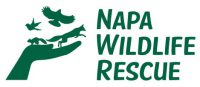 Wildlife-Rescue-Logo