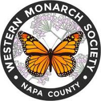 western monarch